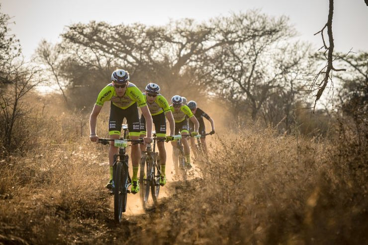 Berg and Bush Descent 2022